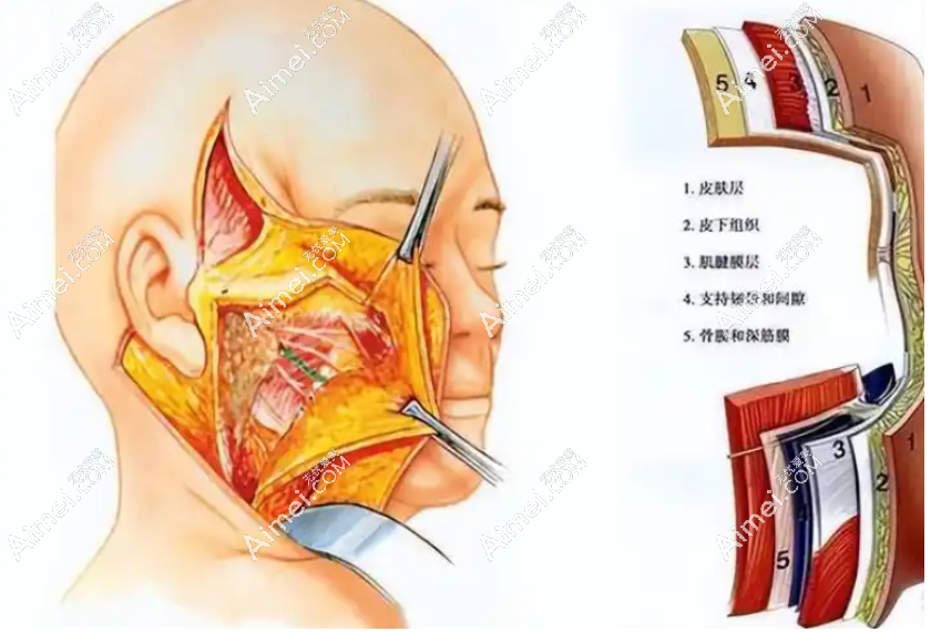 北京联合丽格整形医院dlren.com 北京联合丽格整形医院dlren.com