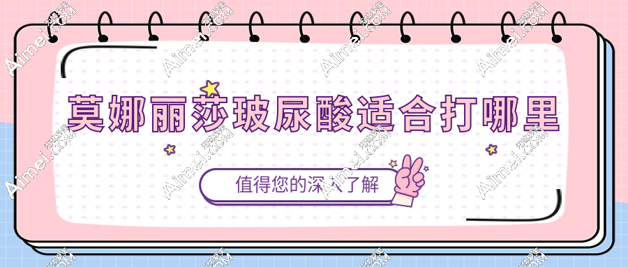 莫娜丽莎玻尿酸适合打哪里