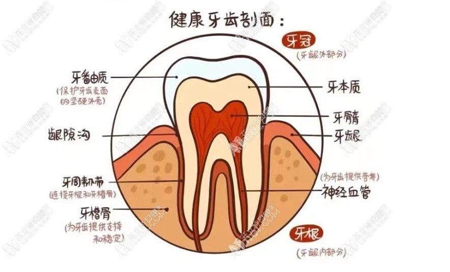 西安临潼付银效口腔诊所 西安临潼付银效口腔诊所