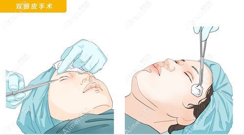 张莹莹个人简历 张莹莹个人简历