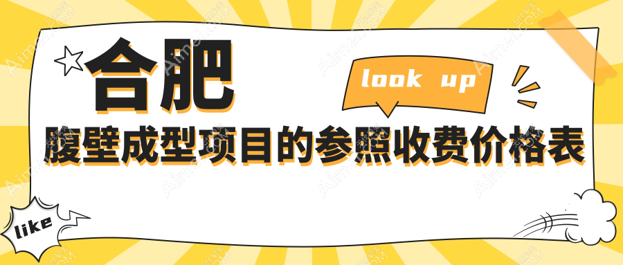 合肥腹壁成型项目的参照收费价格表