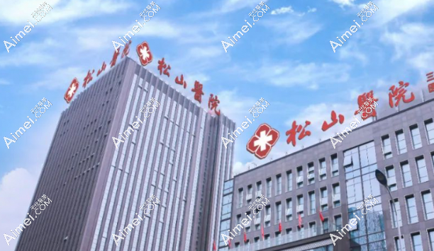 重庆松山医院电话问诊24小时在线!预约医院-网上挂号-获取地址(附免排队攻略)