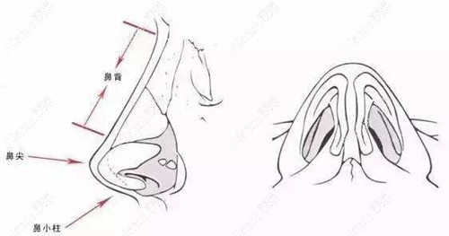 成都肖凌医生口碑测评:肋骨鼻真人实例投稿爆火,医生妥妥技术流YYDS