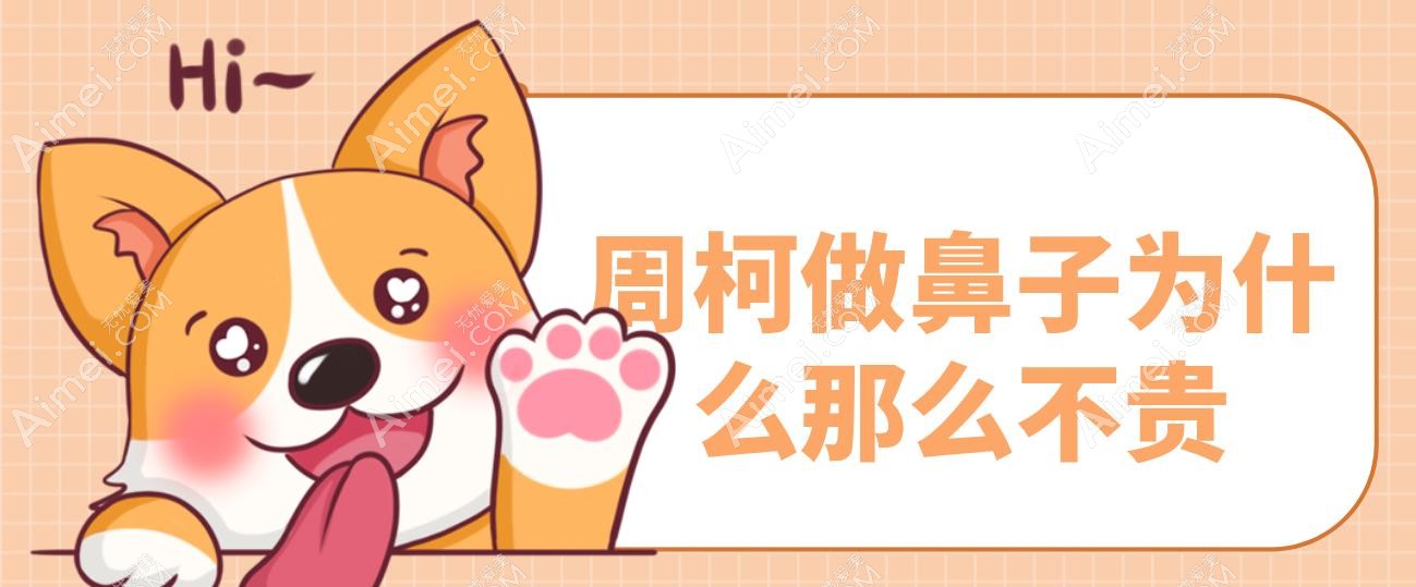 周柯做鼻子为什么那么不贵