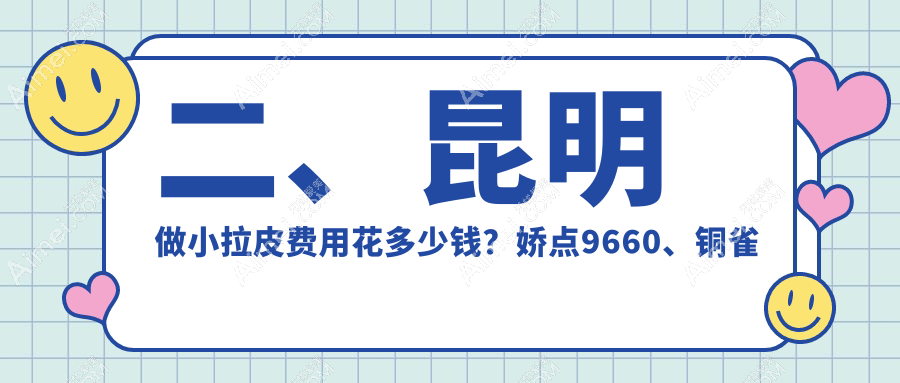 二、昆明做小拉皮费用花多少钱?娇点9660、铜雀台9958、吴氏嘉美8969