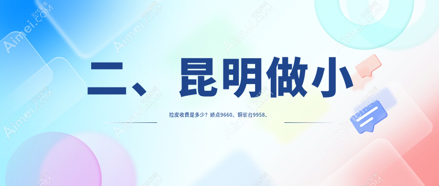 二、昆明做小拉皮收费是多少?娇点9660、铜雀台9958、吴氏嘉美8969