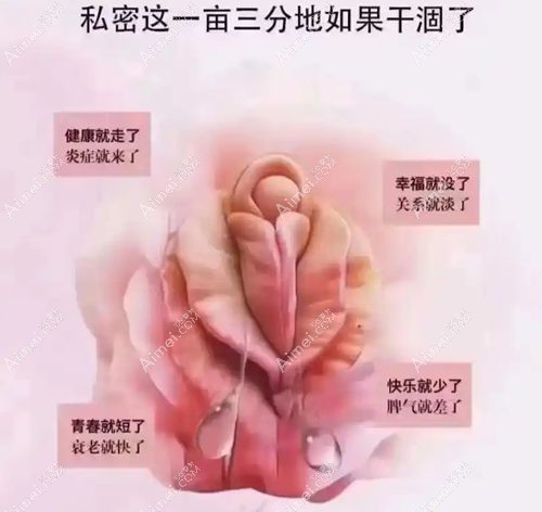 重庆高潮针价格一览表 重庆高潮针价格一览表