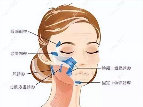 朱自刚在郑州哪个医院?筋膜提升医生朱自刚任郑州曼蒂院长,线上联系免排队