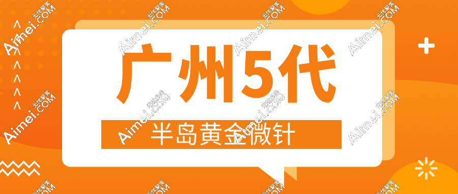 广州5代半岛黄金微针