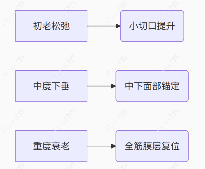 衰老等级