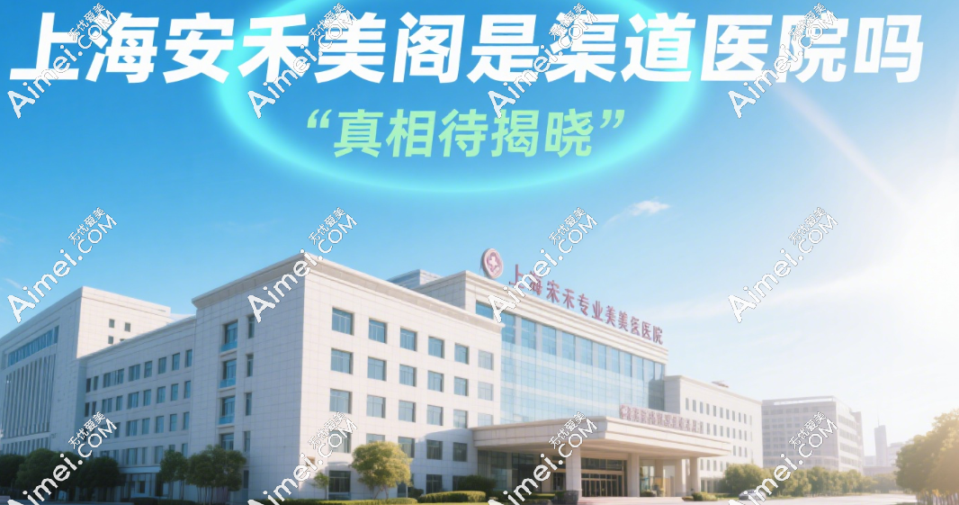上海安禾美阁医疗美容是渠道医院吗