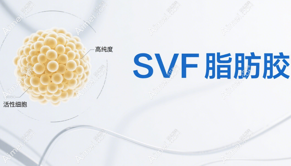 面剖萎缩填充术SVF脂肪胶