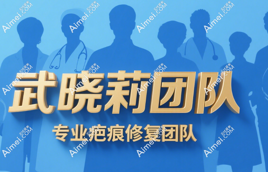 武晓莉团队成员名单大揭秘！王文波也在列,增生疤/手术疤一键清零