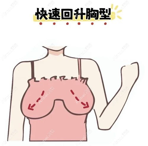 产后为啥胸部会下垂 产后为啥胸部会下垂