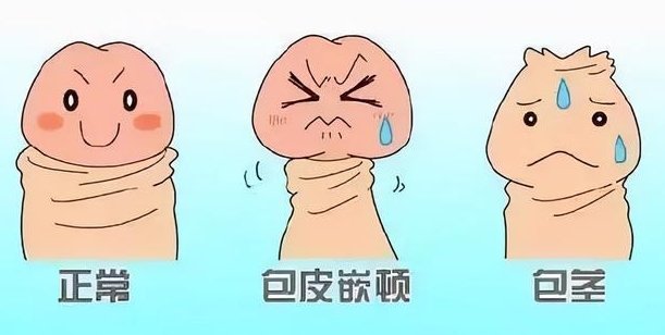 王文卫医生