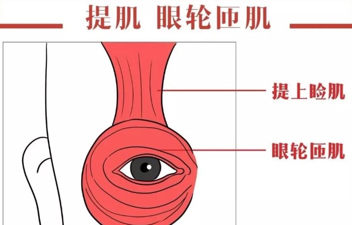 马传勋医生与其他长沙眼部修复医生对比