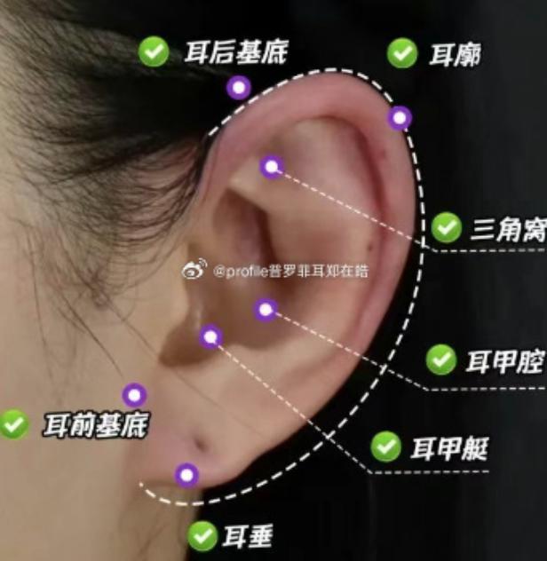 四、私立医院精灵耳手术就诊全流程指南www.dlren.com