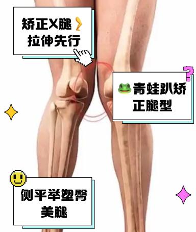 五、总结建议