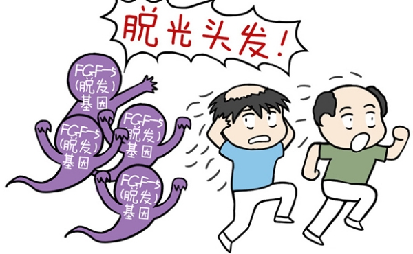 北京高红侠医生植发值得信赖吗?www.dlren.com