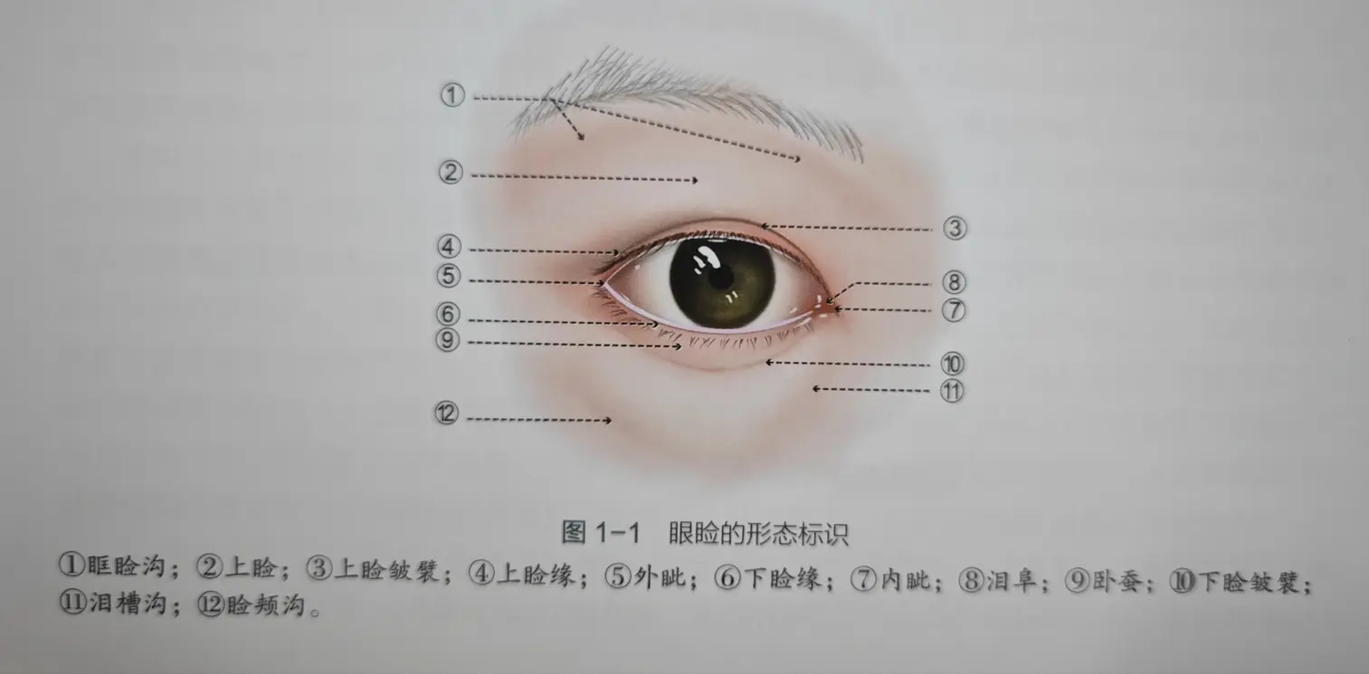 二、深入解析:沈阳名流桓莉双眼皮怎么样?