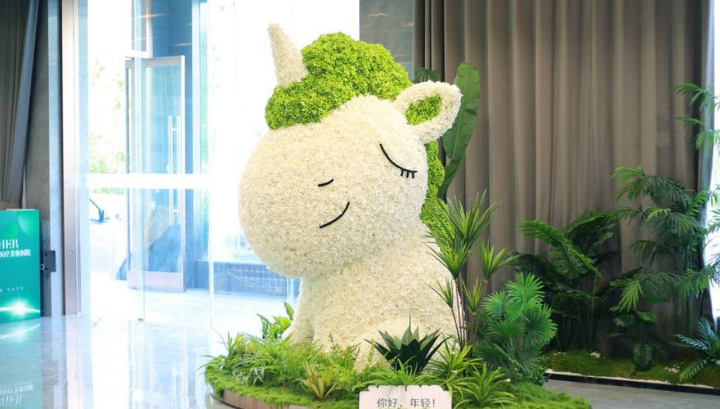 一、济南丽合整形项目价格贵吗？先看看这张表，心里有个底