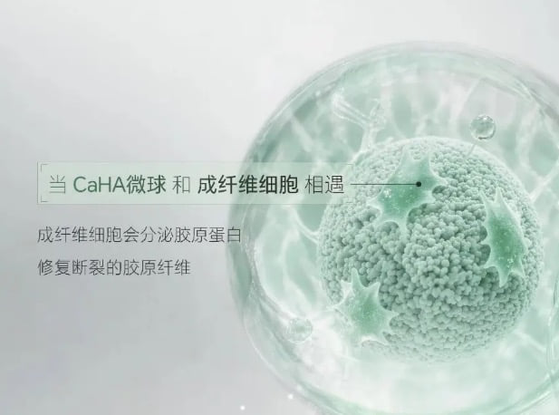 四、价格与市场信息:你的预算适合哪一款?www.dlren.com