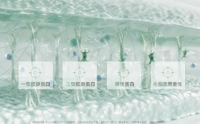 五、避坑指南与验真方法:如何确保自己用的就是正版?