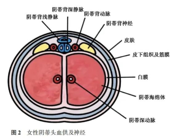 2. 权威协会认证,技术力量雄厚
