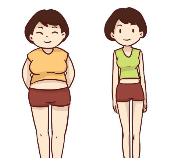 1. 资深履历与行业头衔